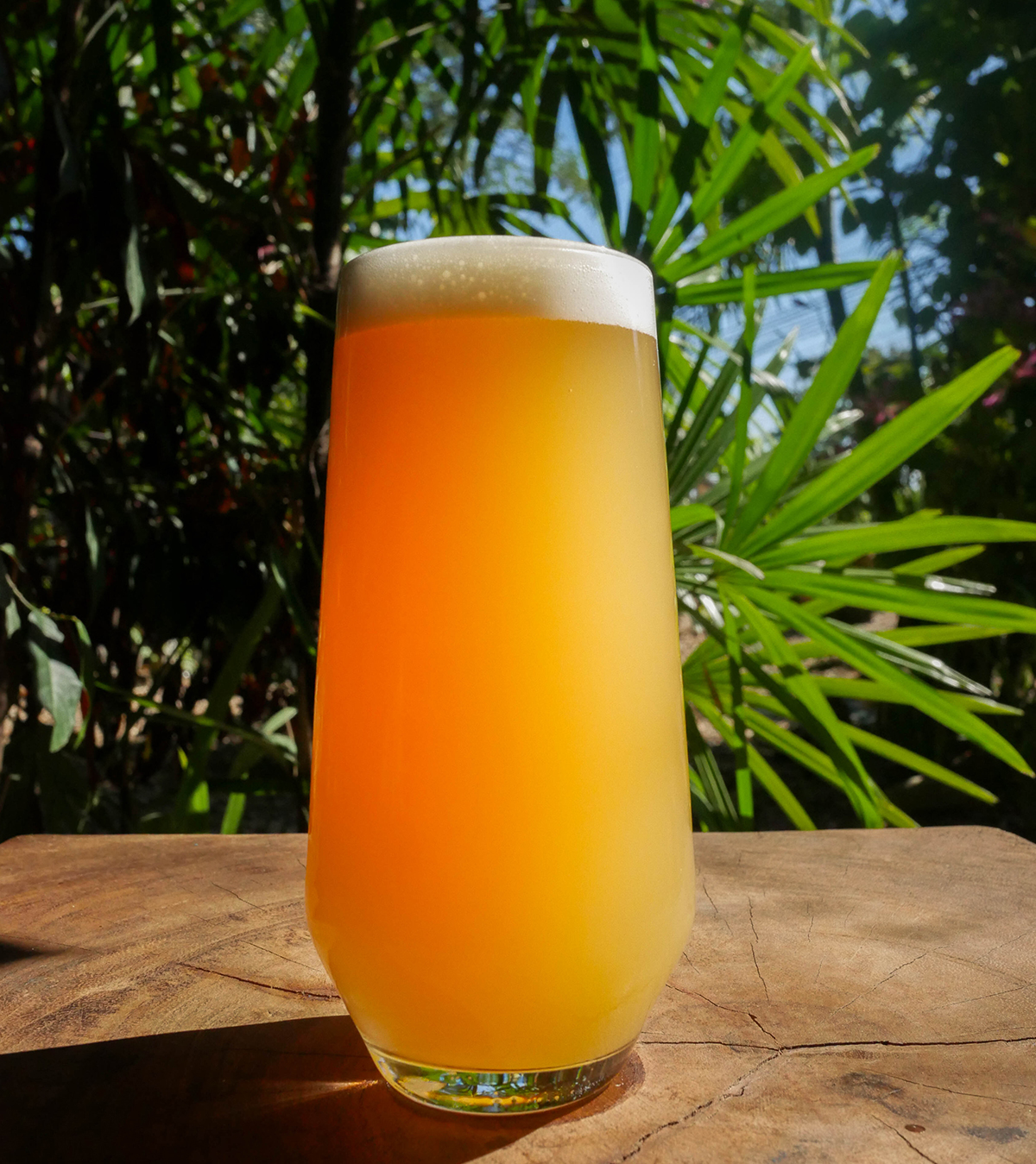 maalstroombrewing